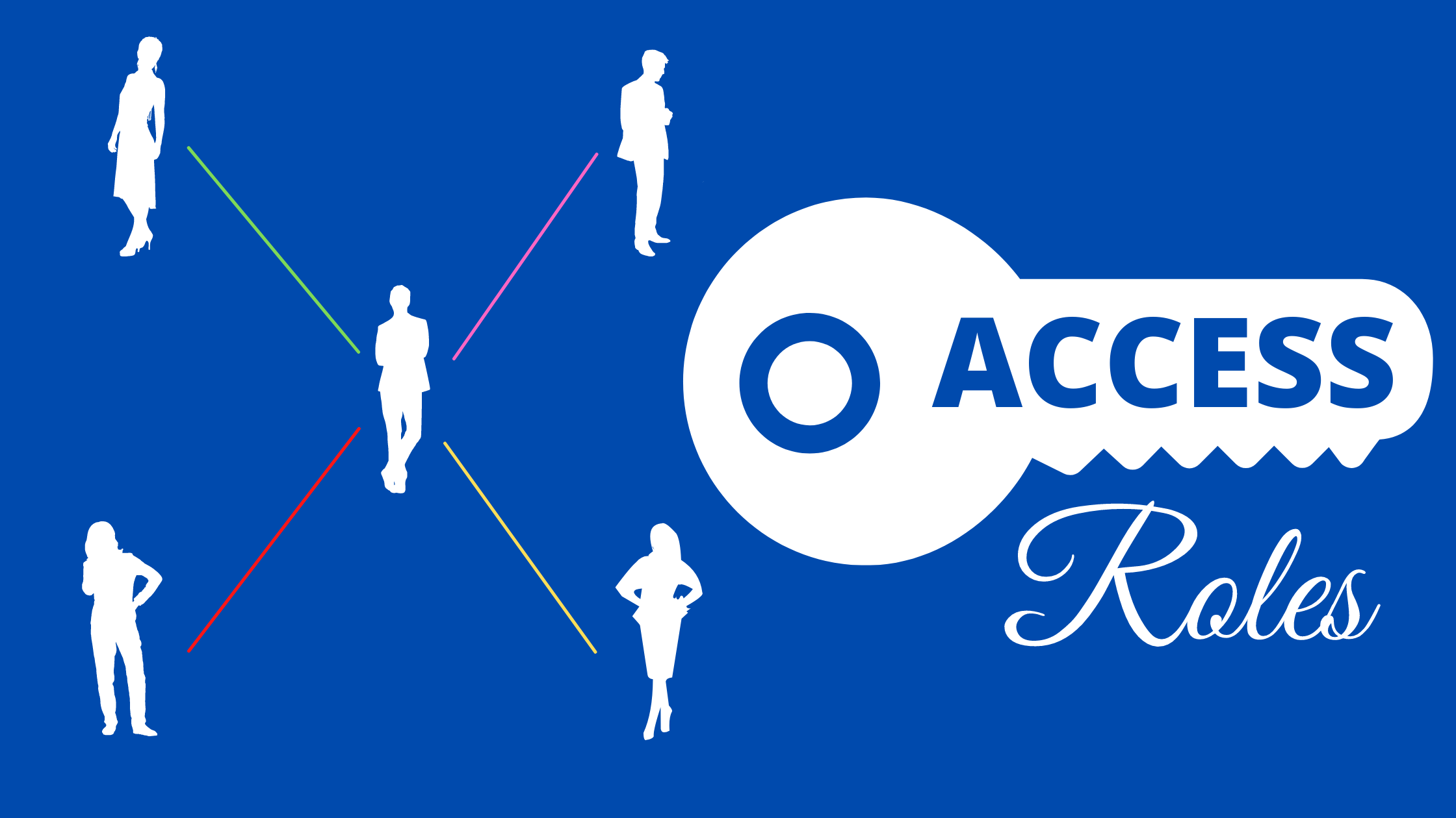 Access Roles in AccuBooks Accounting System